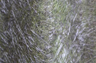 Monxton fibreglass roof work